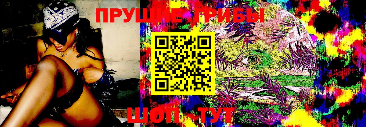 Котлас  Псилоцибиновые грибы Psilocybine cubensis  Вход с VPN  Псилоцибиновые грибы MAGIC MUSHROOMS 